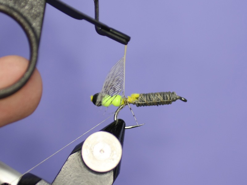 Cased Caddisfly Nymph How to tie fly, Fly tying Step by Step Patterns